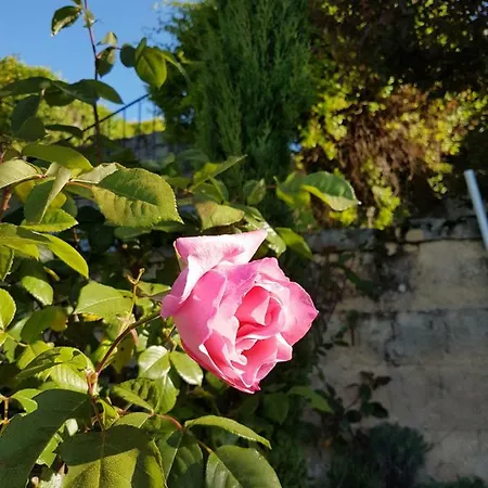 度假居 Le Clos Des Etoiles *