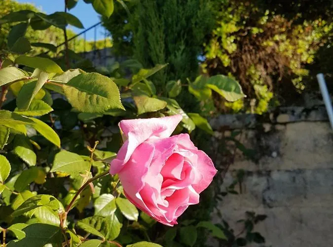 Semesterbostad Le Clos Des Etoiles *